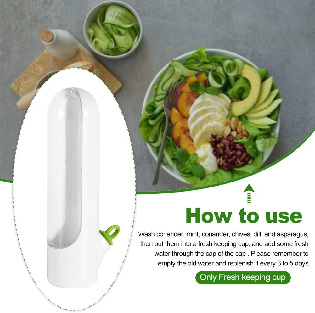 Fresh-Keeping Veggie & Herb Containers (1+1 Free)