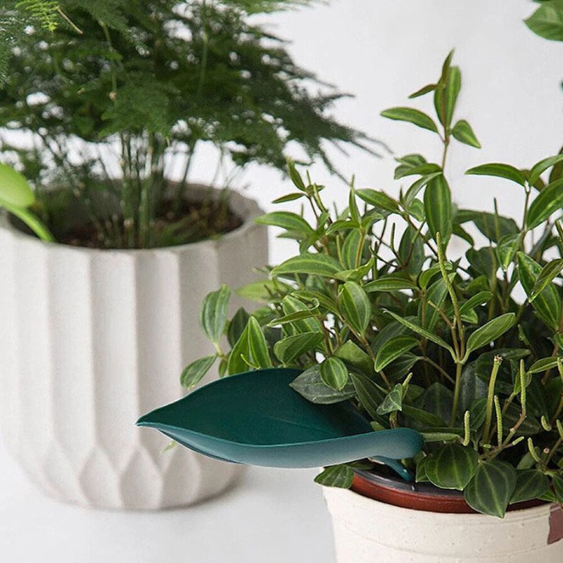 Florenza™ - 6 Leaf Funnels for Mess Free Plant Watering (50% Off)
