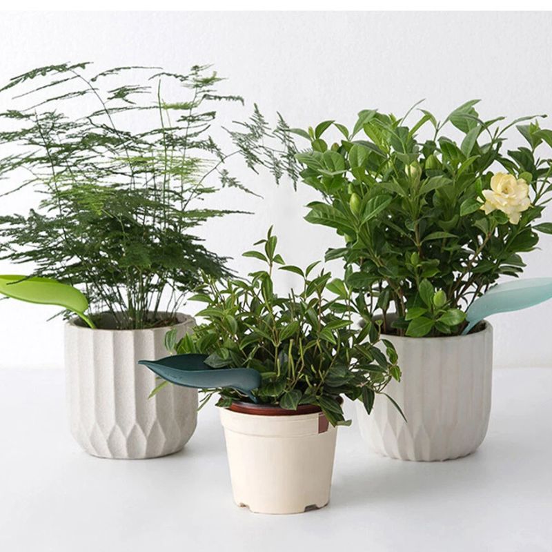 Florenza™ - 6 Leaf Funnels for Mess Free Plant Watering (50% Off)