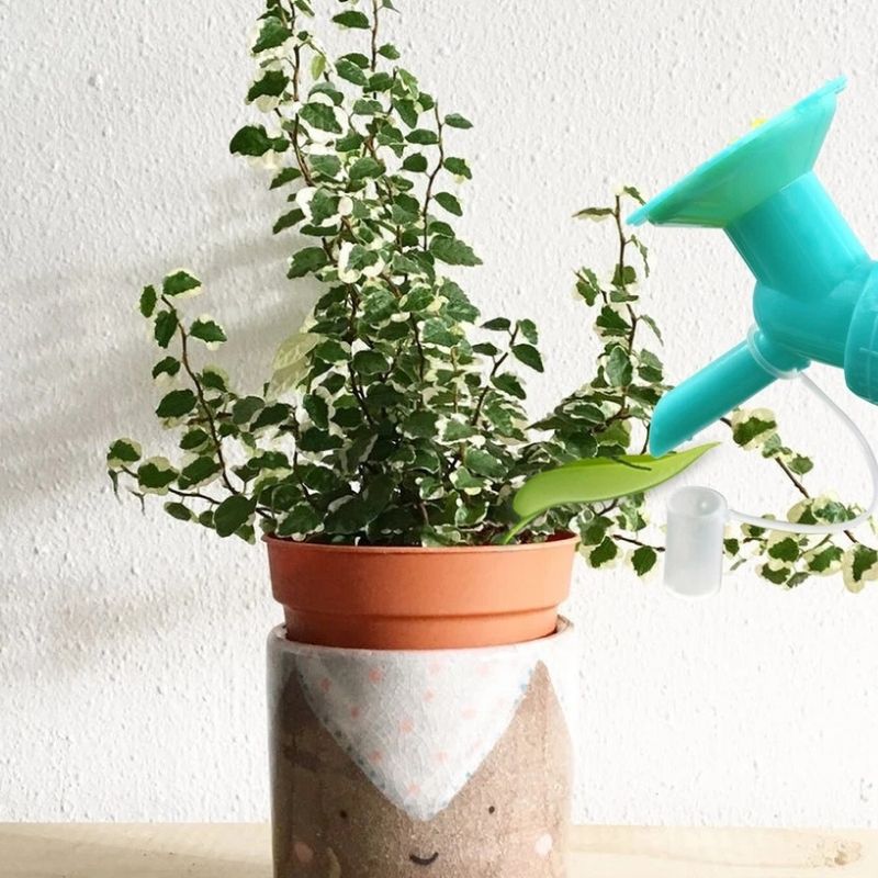 Florenza™ - 6 Leaf Funnels for Mess Free Plant Watering (50% Off)