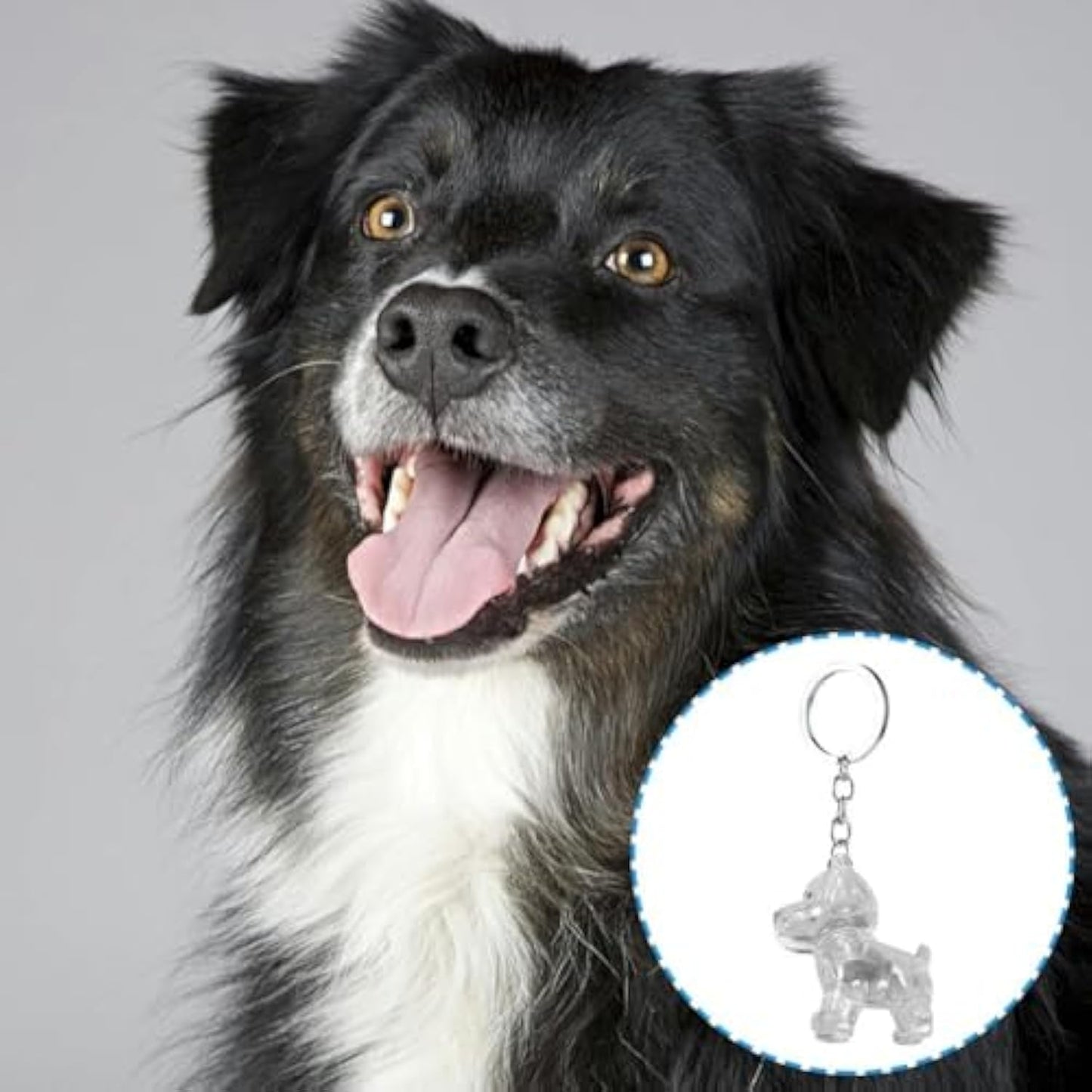 Fuzzkey™ – 2Pcs Pet Hair Storage Keychain (50% Off)