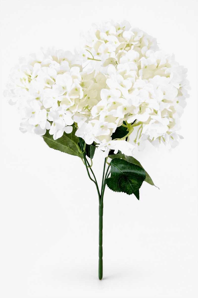 Flowers & Faux Plants