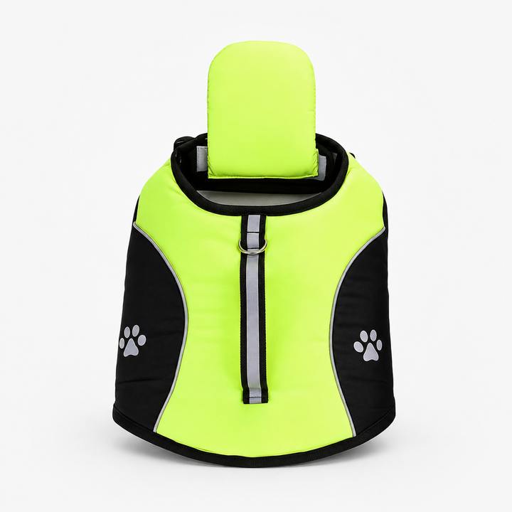 Floatpup – The Life Vest That Floats Him Level, Not His Chin