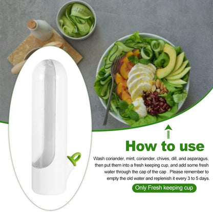 Fresh-Keeping Veggie & Herb Containers (1+1 Free)