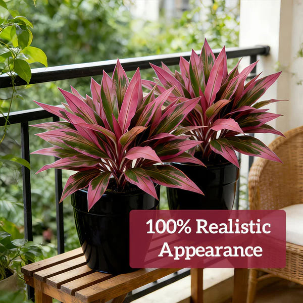 Verdara – Vibrant Faux Cordyline Plant Set
