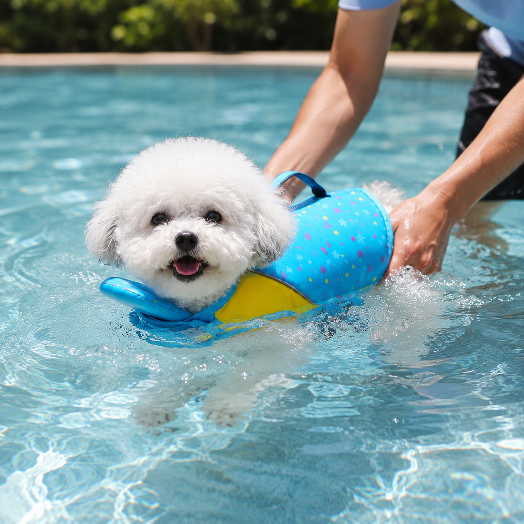 Floatpup – The Life Vest That Floats Him Level, Not His Chin
