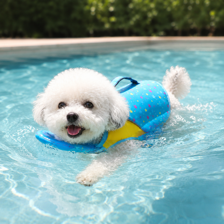 Floatpup – The Life Vest That Floats Him Level, Not His Chin