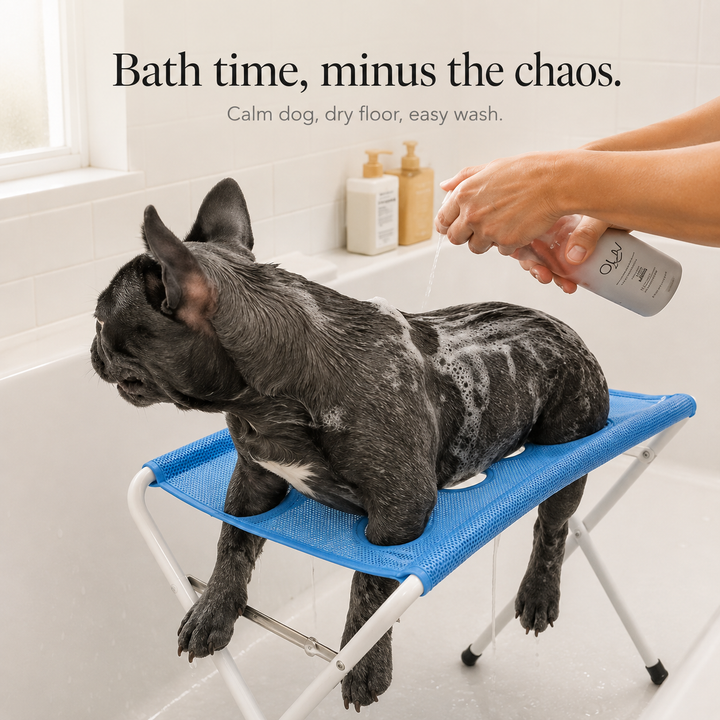 Stillpaw – Elevated Non-Slip Pet Bathing Platform
