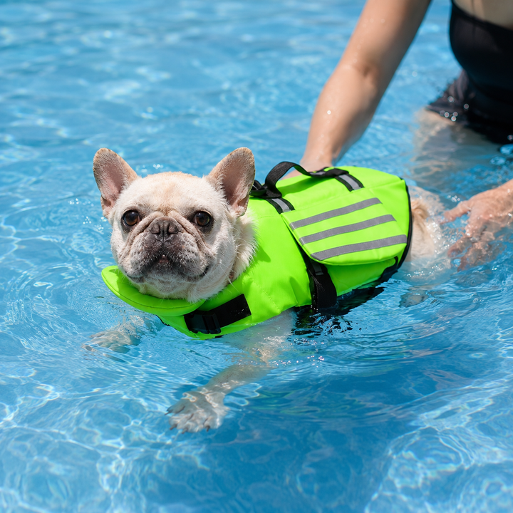 Angelfloat – The Vest That Keeps His Chin Up In Water