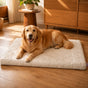 Coolava – Instant Cooling Pet Mat for Dogs and Cats, Scratch-Resistant