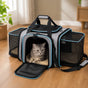 Nestly – Expandable Cat Carrier with Mesh-like Lounge Sides for Travel