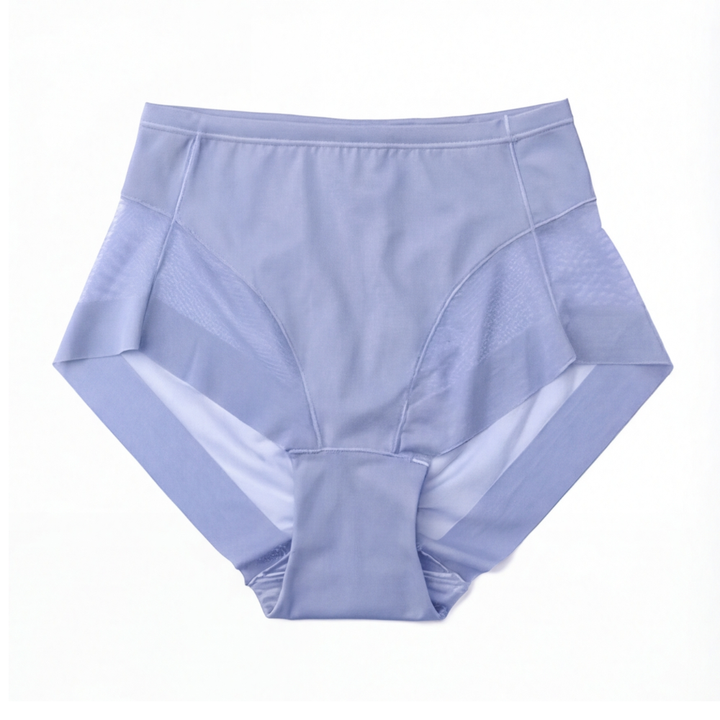 Wearbella – Seamless Mesh Panel Everyday Panties