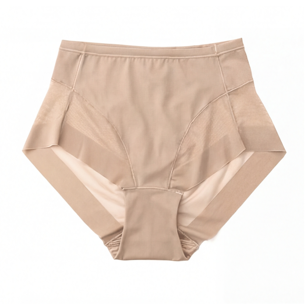 Wearbella – Seamless Mesh Panel Everyday Panties