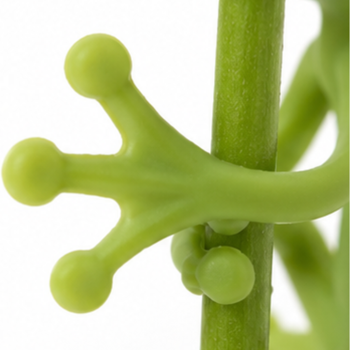 Hoppity – Bendable Silicone Frog Plant Clips, Set of 5 Cute Garden Decor