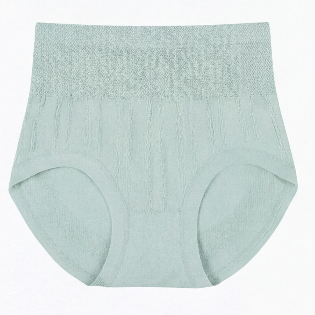 SleekHips – High Waisted Leakproof Panties