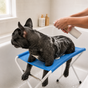Stillpaw – Elevated Non-Slip Pet Bathing Platform