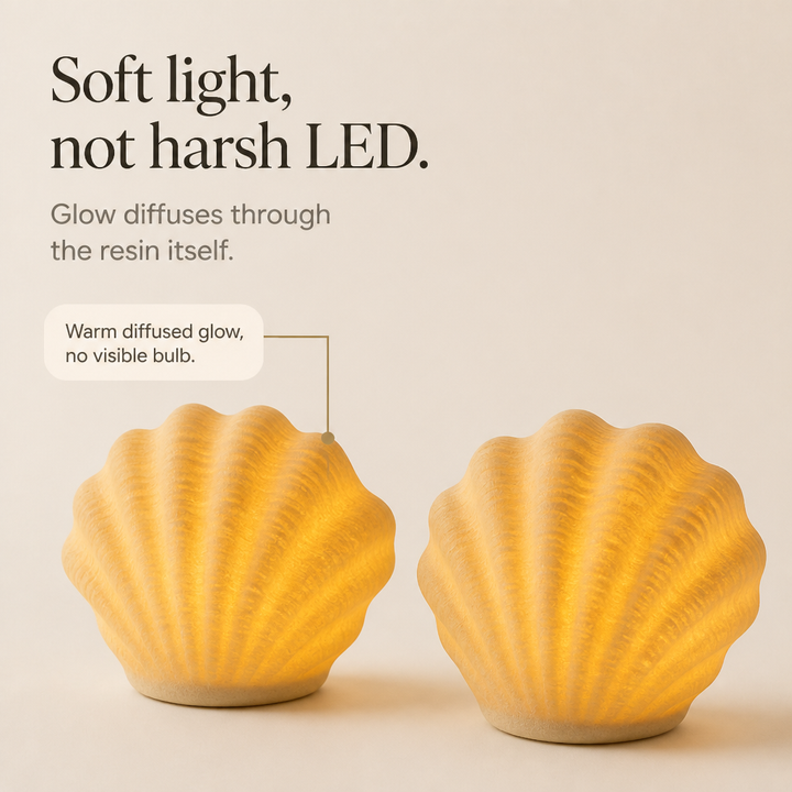Coastal Glow Co. – Ceramic Shell And Conch Ambient Lamp Set