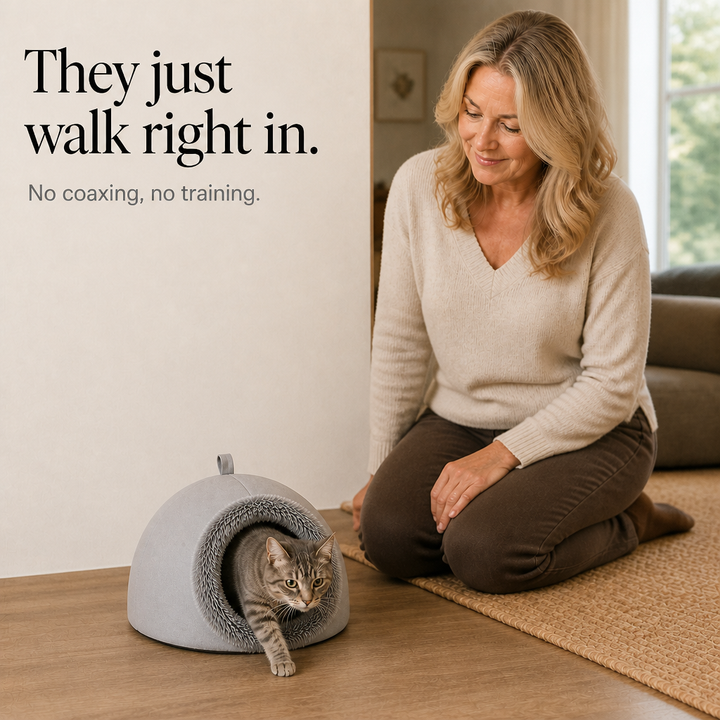 Denwarm – Enclosed Foam Dome Cave Pet Bed