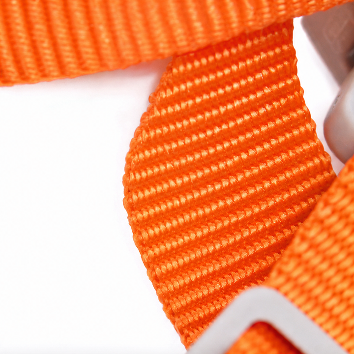 PurrPath – Reflective Step-In Cat Harness