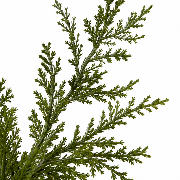 Glowmere – Pre-Lit Slim Cypress Accent Tree
