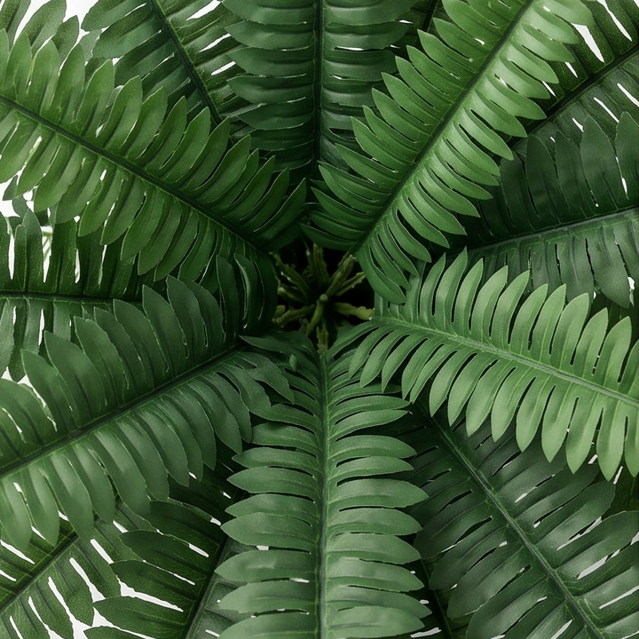 Fernly – Realistic Artificial Boston Fern
