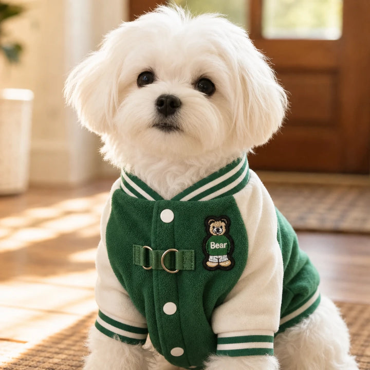 Pawswell – Varsity Snap-Front Dog Jacket