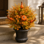 Harvestly – Dimensional Pumpkin And Gourd Tree Stake