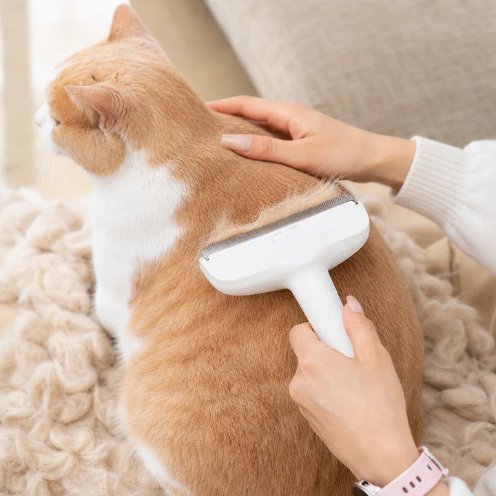 Shedwell – Metal-Tooth Cat Deshedding Brush