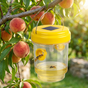 Waspora – Solar Wasp Trap with LED (2-Pack)
