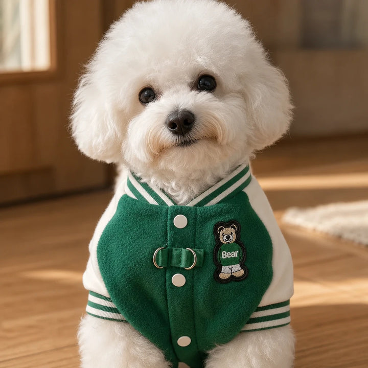 Pawswell – Varsity Snap-Front Dog Jacket