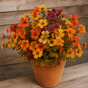 Porchbloom – Four-Tone Layered Fall Floral Bundle