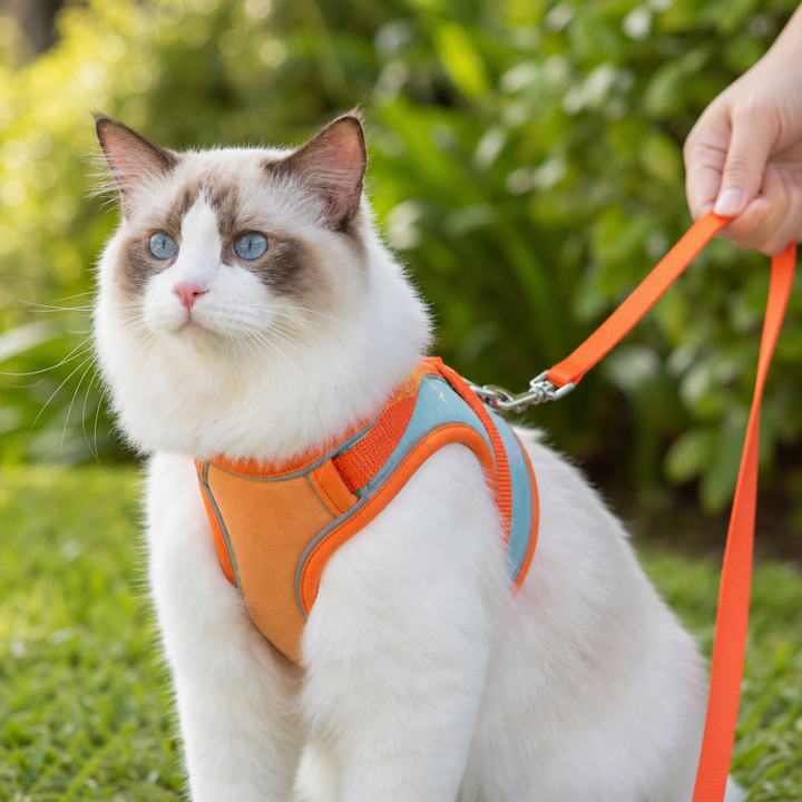 PurrPath – Reflective Step-In Cat Harness