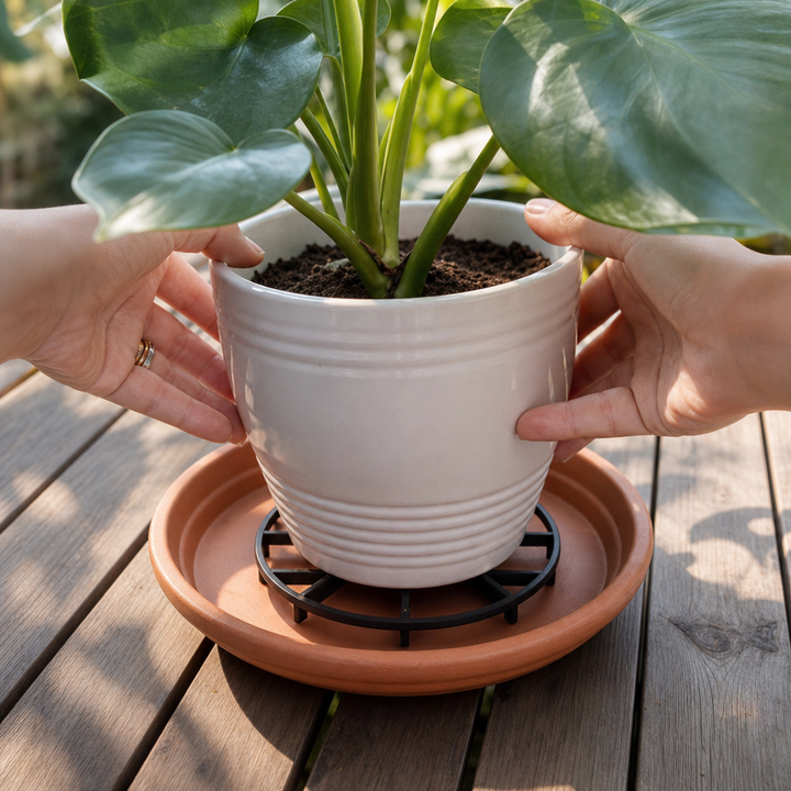 RootRise – Reinforced Open-Grid Planter Riser (2Pcs)