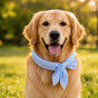 Coolpup – Reusable Cooling Bandana for Dogs, No-Freezer Summer Neck Wrap