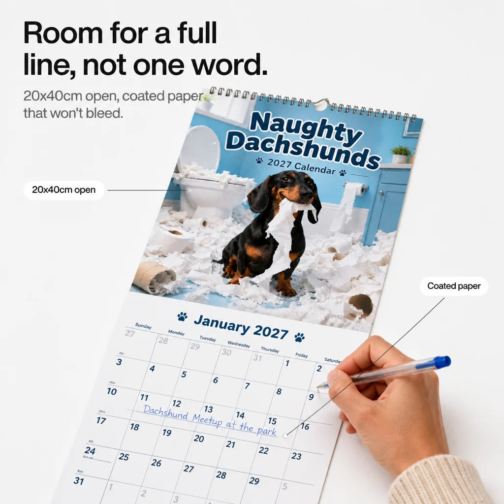 Naughty Dachshunds Dog Wall Calendar