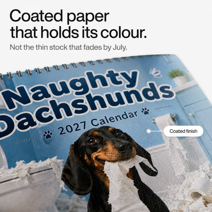Naughty Dachshunds Dog Wall Calendar