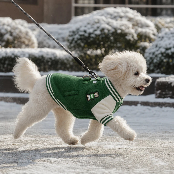 Pawswell – Varsity Snap-Front Dog Jacket