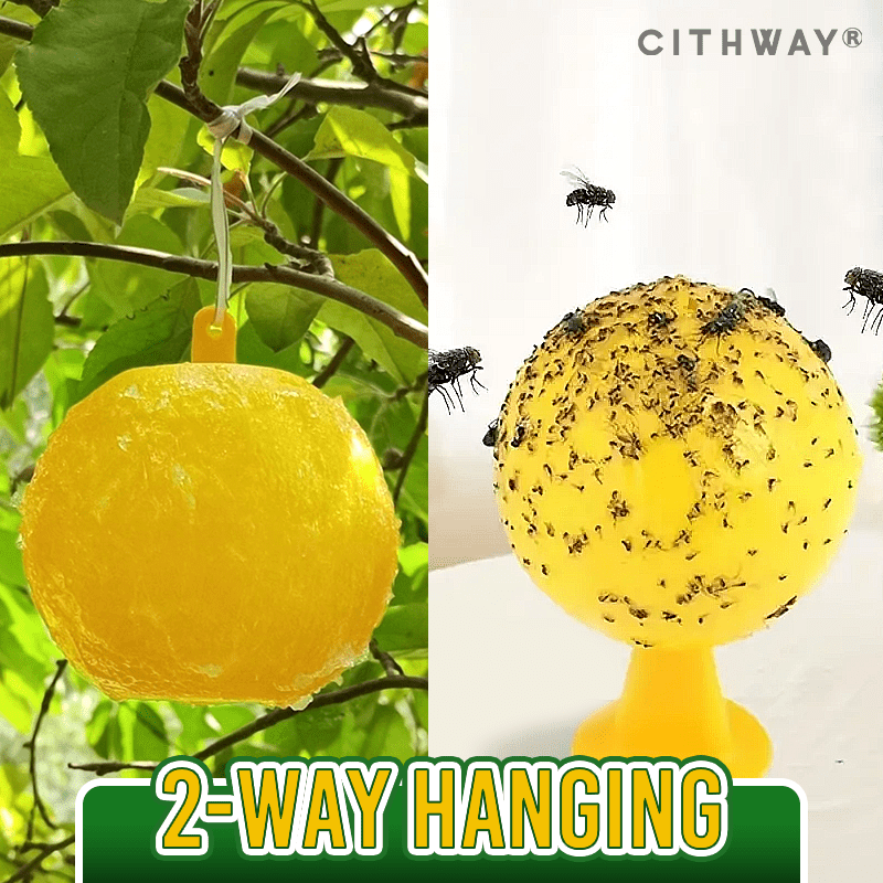 Cithway™ - Instant Fly Trap Ball for Home & Garden (50% Off)